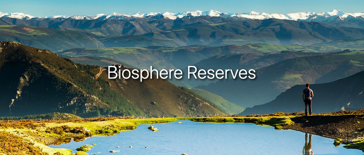 edfinntravels tweet media