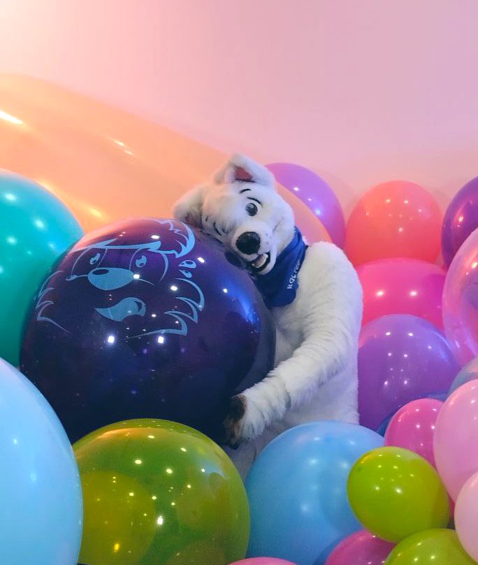 Boltee (@bolt_cadell) on Twitter photo I wish you all a happy Balloony Saturday! :D for once i'd like to tweet some balloon picture :3 <a href="/kamsirius/">Kamsik</a> <a href="/SkeppoBalloon/">SkeppoBalloon ๐๐พ</a> <a href="/MaksiMelb/">๐ฒโ๐ฆโ๐ฐโ๐ธโ๐ฎโก๏ธ maksi.bsky.social</a> <a href="/FLUFFSQUEAKER/">Ekko~ ๐พ๐๐ณ๏ธโ๐๐EF, FG</a> #EF26 #Balloonphotoshoot I wish you all a happy Balloony Saturday! :D for once i'd like to tweet some balloon picture :3 <a href="/kamsirius/">Kamsik</a> <a href="/SkeppoBalloon/">SkeppoBalloon ๐๐พ</a> <a href="/MaksiMelb/">๐ฒโ๐ฆโ๐ฐโ๐ธโ๐ฎโก๏ธ maksi.bsky.social</a> <a href="/FLUFFSQUEAKER/">Ekko~ ๐พ๐๐ณ๏ธโ๐๐EF, FG</a> #EF26 #Balloonphotoshoot