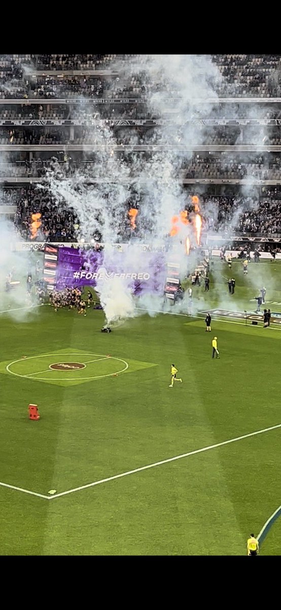 Go Freo #flagmantle #AFLFreoDogs