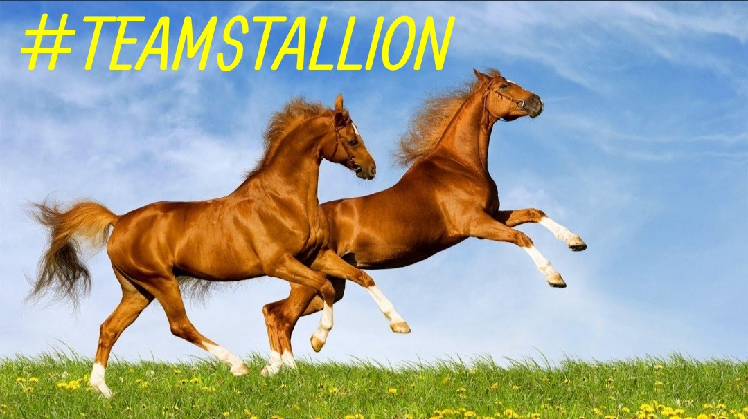 lumpie125's tweet photo. #TEAMSTALLION

@italianostyle2
@MarEthr
@ME_1b
@MaJaVi_
@BrettMGWV
@zaizul_abidin
@swydersk
@Baloch_786_
@S_4_N_5
@R3_Adv
@khalidaajzi
@AbidinBoryta
@Spencerjames211
@5Usmn @4Usmn
@GRAHAM15583070
@5q_zk @H6z8S
@bluea125 @Siogo61

@luisalarosa @Luisa1Queen
@ginestarros @ginaaaaa24 https://t.co/zRSJ9ZaVOp