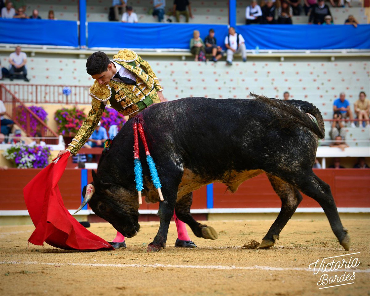 📍BAYONNE

Ovación con saludos para <a href="/YonLamothe/">Yon Lamothe</a> tras estoquear a su primer oponente, al que toreado despacio y con temple.

📷 <a href="/BordesVictoria/">Bordes Victoria</a> 

#Temporada2022