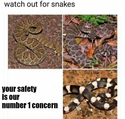 scylla₿ ビットコイン (@scylla4400) on Twitter photo 