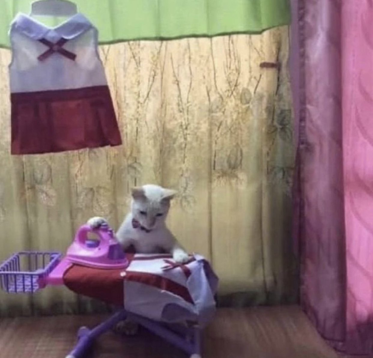 meme dealer on Twitter "yoongi in 2014 after rapping “i’m ballin” in