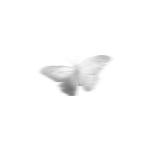 ɴ⁷ 🪭 tweet media