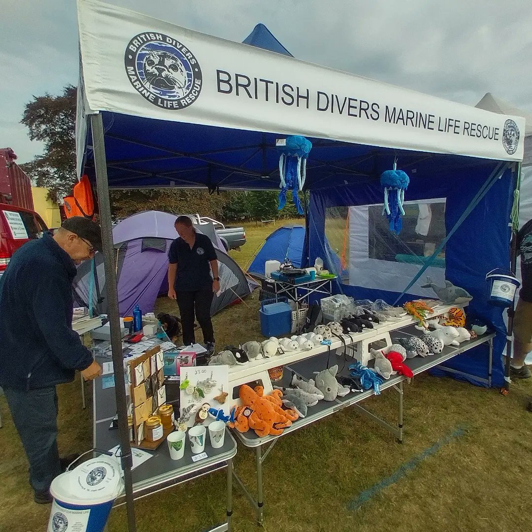 BdmlrYorksLincs's tweet photo. We're at Scampston Hall at the #YorkshireTractionEngineRally, sponsored by Outdoor Shows Ltd and @abphumber.  Find us next to the Dodgems #BDMLR #BritishDiversMarineLifeRescue #MarineMammalMedic #Seals #Dolphins #Whales #Porpoises #WildlifeRescues #MarineWildlife #SaveOurSeas https://t.co/88Dst2XGoT