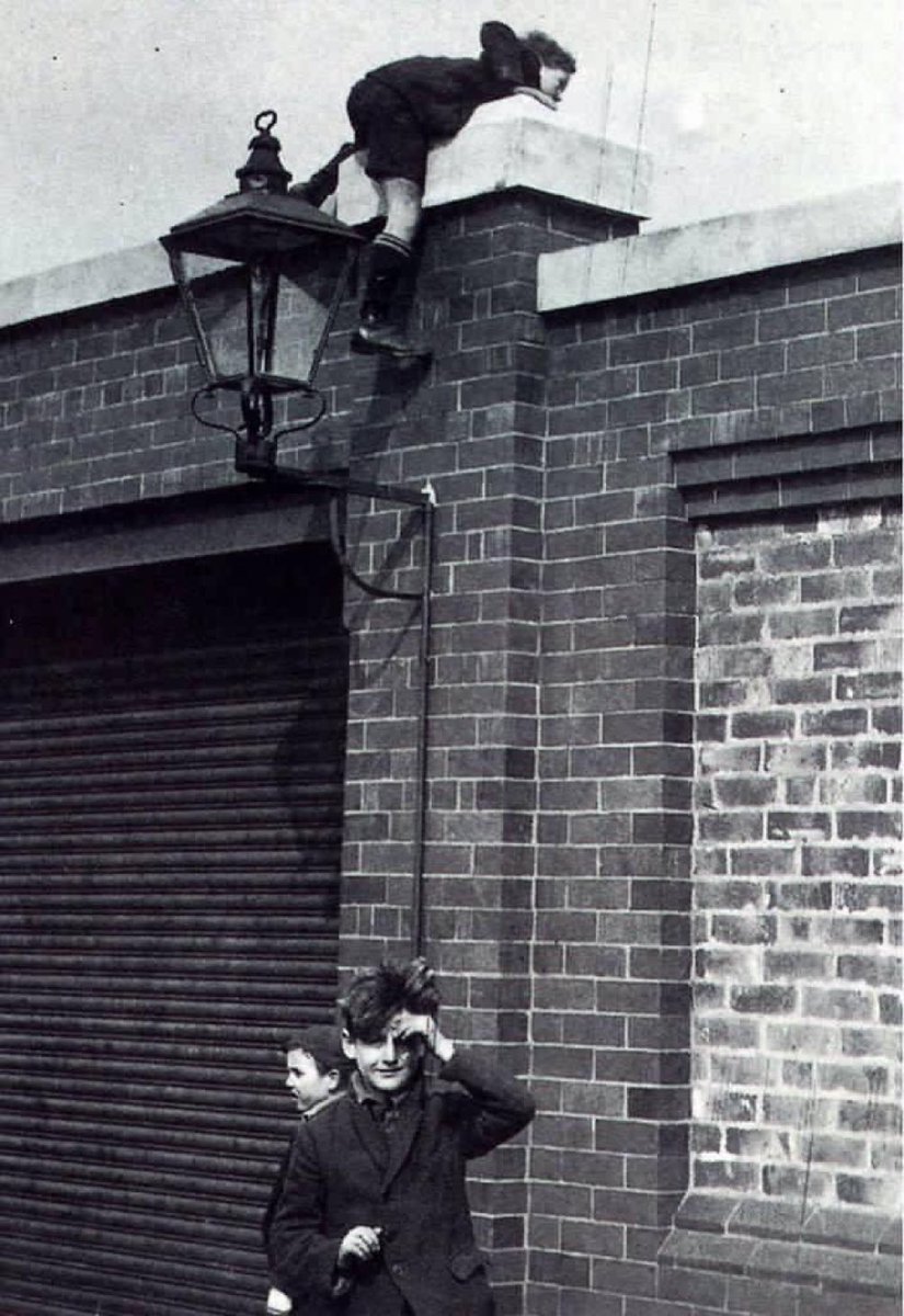 Terrace Images tweet media