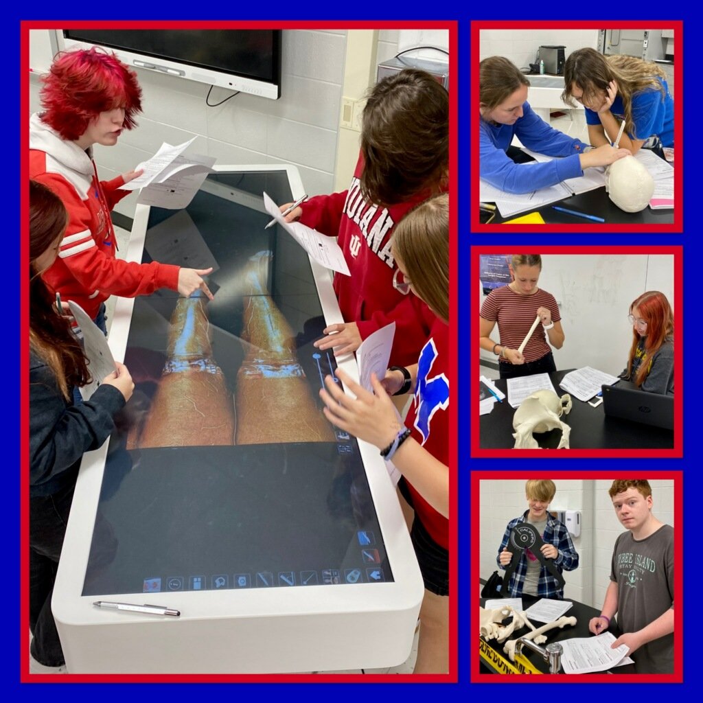 ArtesiansUnited's tweet image. MARTINSVILLE SCHOOLS!
PLTW Human Body Systems students venture into anthropology using measurements and statistics to determine age, ethnicity and sex of bones. #thisishowweSTEM 
@BellCatMHS 
@AwesomeArties 
@Smadams72 
@ericbowlen 
@ArtesiansUnited 
@MSDMartinsville