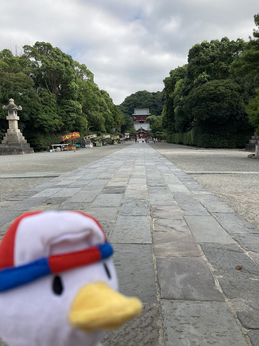 Yeb1hmsfcmprom Yeb1hmsfcmprom