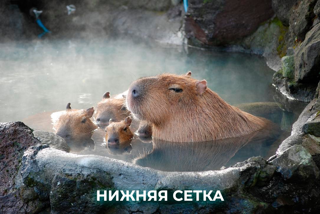 Pari Parni tweet media