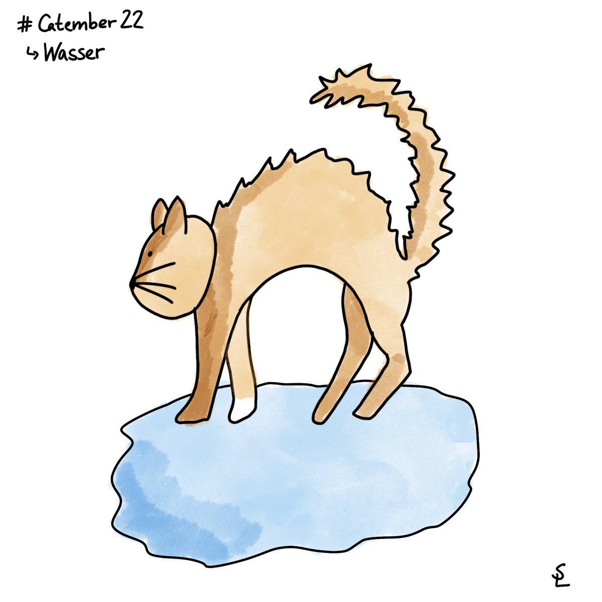 #Catember22