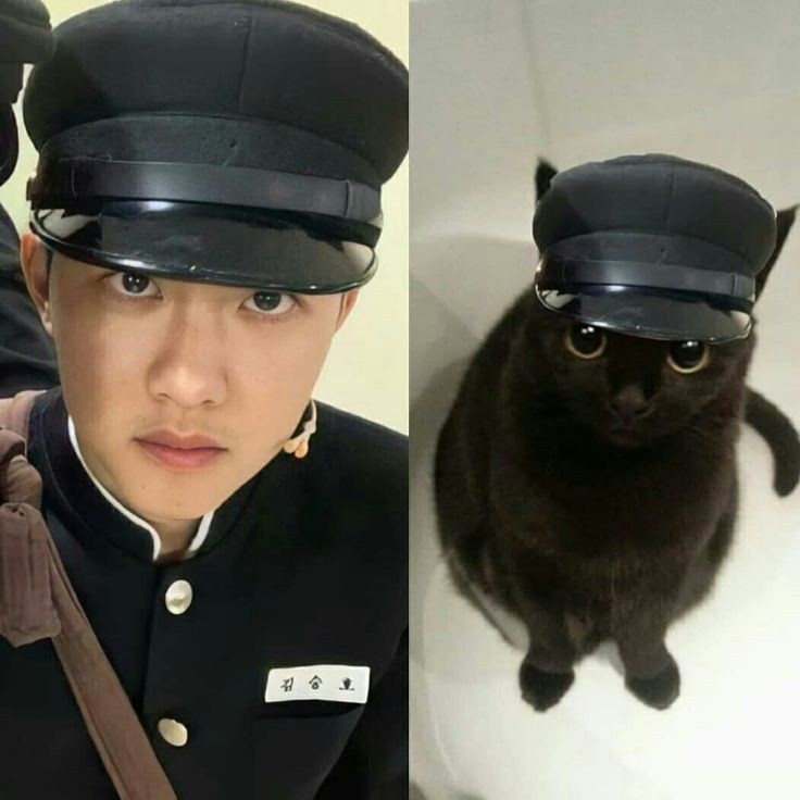 ks00core's tweet photo. https://t.co/hwlXqu465Z