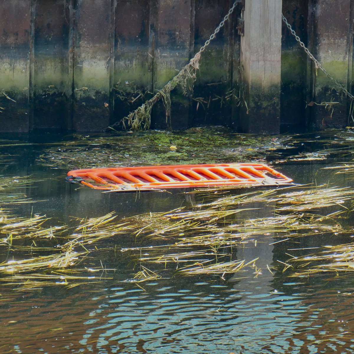 ByNorwich's tweet photo. @BroadsBeat @BroadsAuth
Traffic barrier in Wensum at TGI Friday's. 
#debris #RiverWensum #ByNorwich https://t.co/ujbbhHPoMi