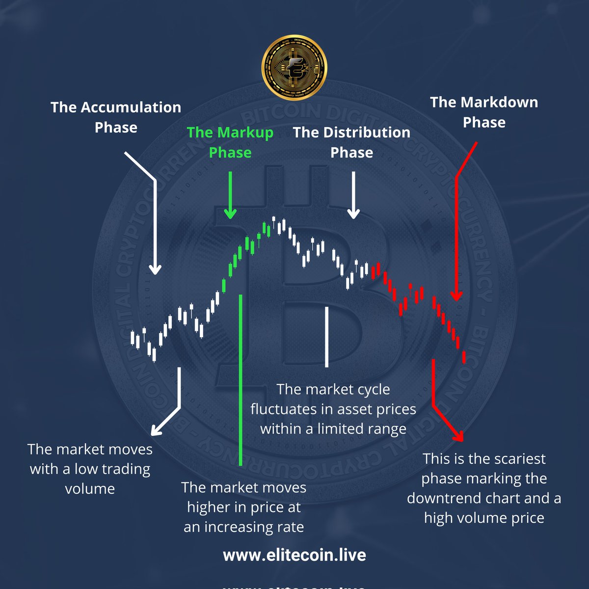 EliteCoin2's tweet photo. A crypto market cycle typically consists of four different phases
The Accumulation Phase | The Markup Phase | The Distribution Phase | The Markdown Phase
For more tips follow our page 
Insta: @elitecoin2021
Web: https://t.co/uezgJCiRHU
#cryptocurrency #crypto #cryptocurrencies https://t.co/UpEBCA55fo