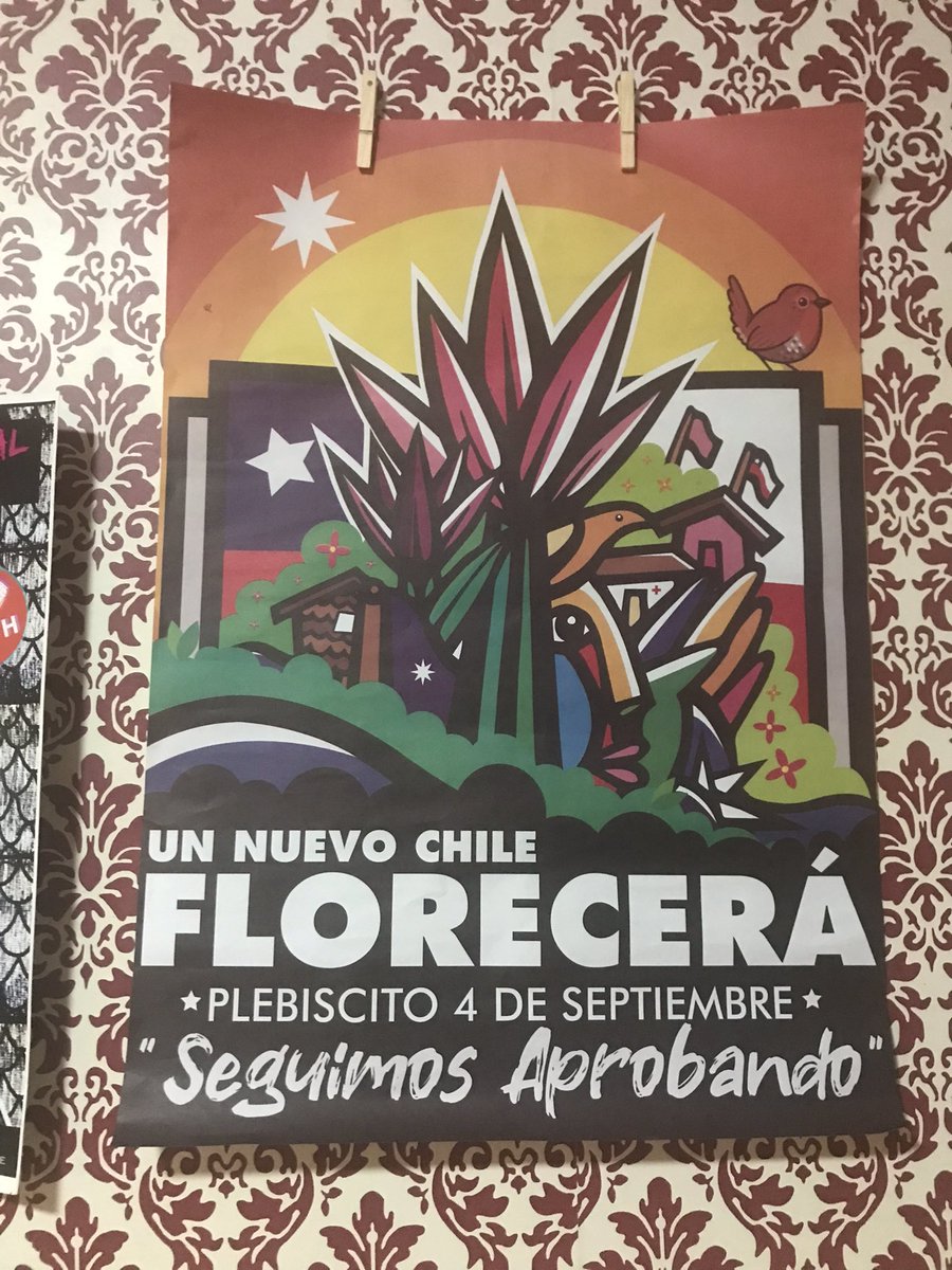 dax0000's tweet photo. Buenos días comarca aprobina, estamos a solo un día de la primavera chilensis, el comienzo del largo camino de la construcción de chilito con solidaridad, justicia social y con el reconocimiento de la diversidad y la naturaleza…. Una belleza
#AprueboYSeraHermoso https://t.co/fOtHd79r8m