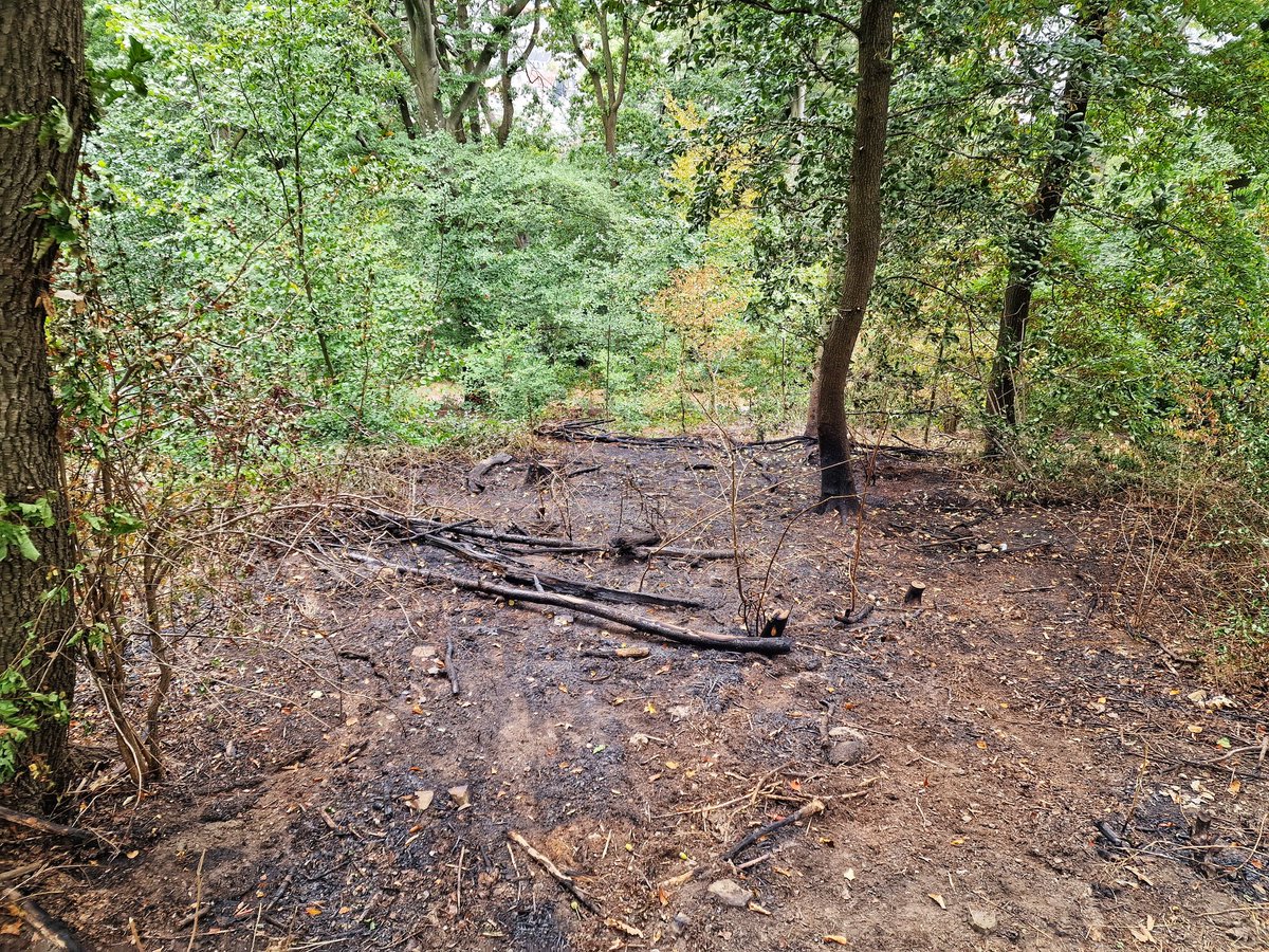 Gestern Abend hat es an drei verschiedenen Stellen auf der Hardt gebrannt. Insgesamt sollen 400qm abgefackelt worden sein. Vermutlich war es Brandstiftung. Wie kann man so etwas nur tun? 🤬
#Wuppertal #Hardt #Feuer #Brand #Brandstiftung