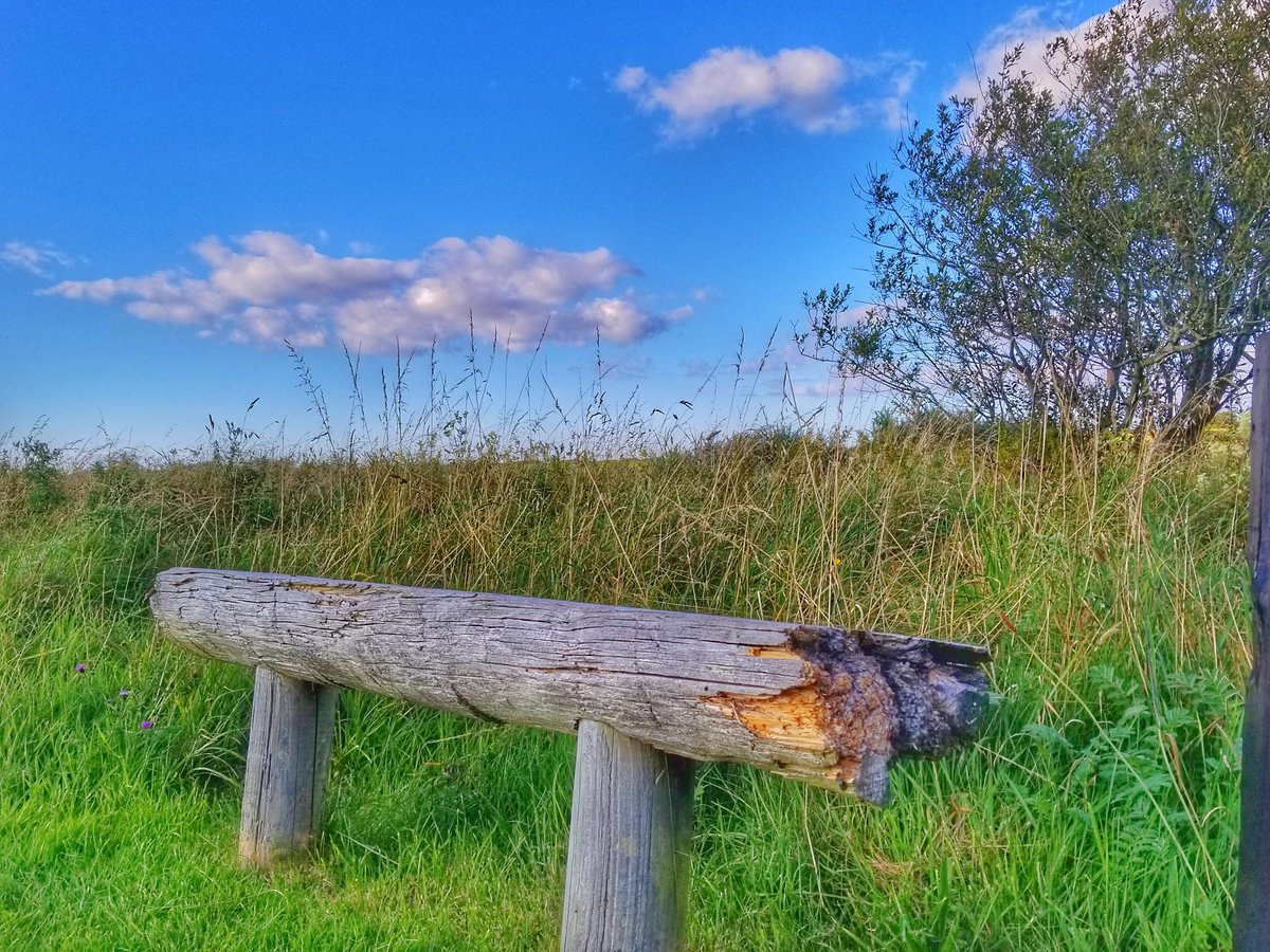 LinksNation tweet media