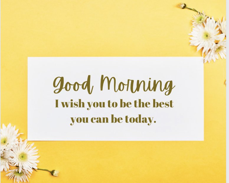 raysingletary1's tweet photo. #Reflection: You are ready!!

#seeitthrough 
#JoyfulLeaders #Sel #Selfcare #Teachers #PrincipalEDleaders #EDleaders #EDleadership #leadership #Leadershipskills #careercoach #careeradvice #education #educatorcareercoach https://t.co/aCMXY3EB8Q