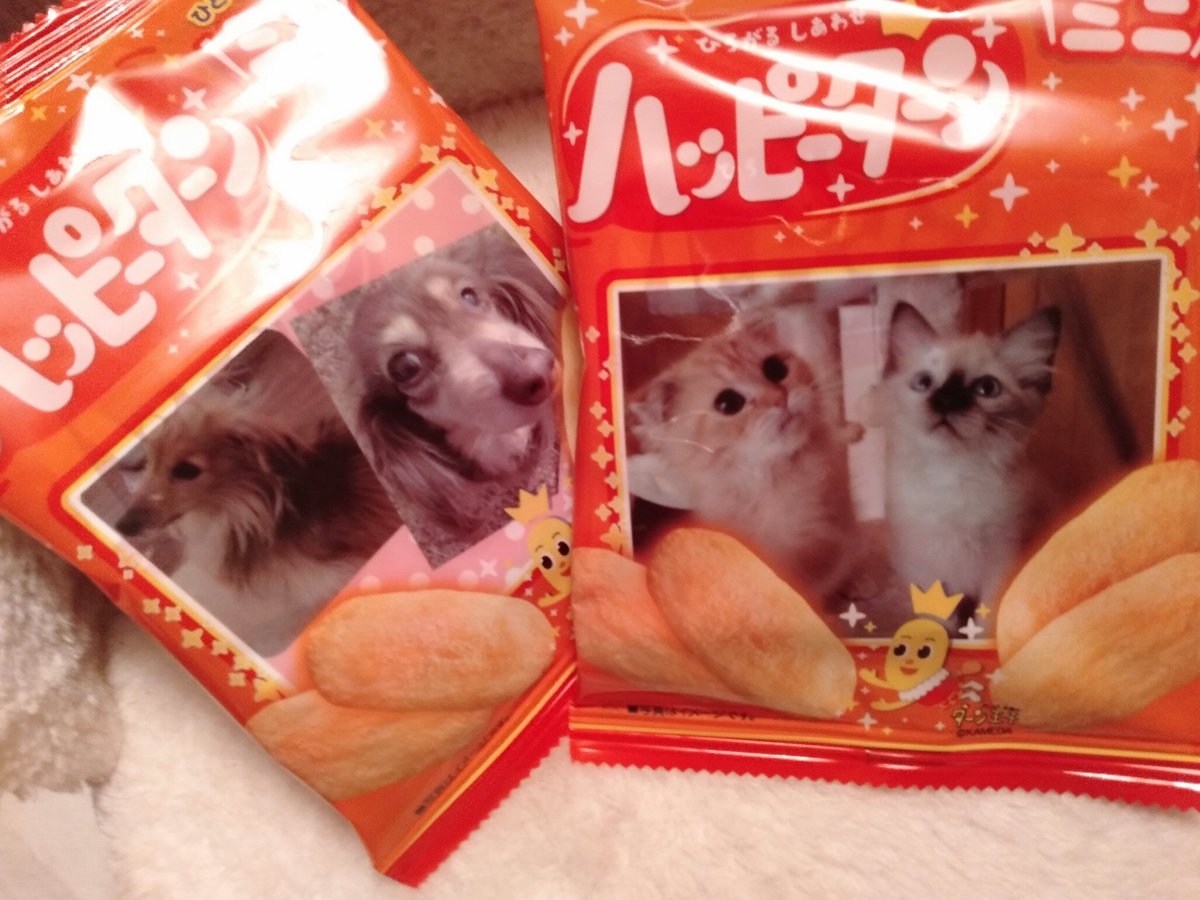 kaisendon__neko's tweet photo. 待ってました＼(^o^)／

いおり、バンビ、うに、しらすのハッピータン＼(^o^)／

#Decoto https://t.co/bqv5H4RnYN