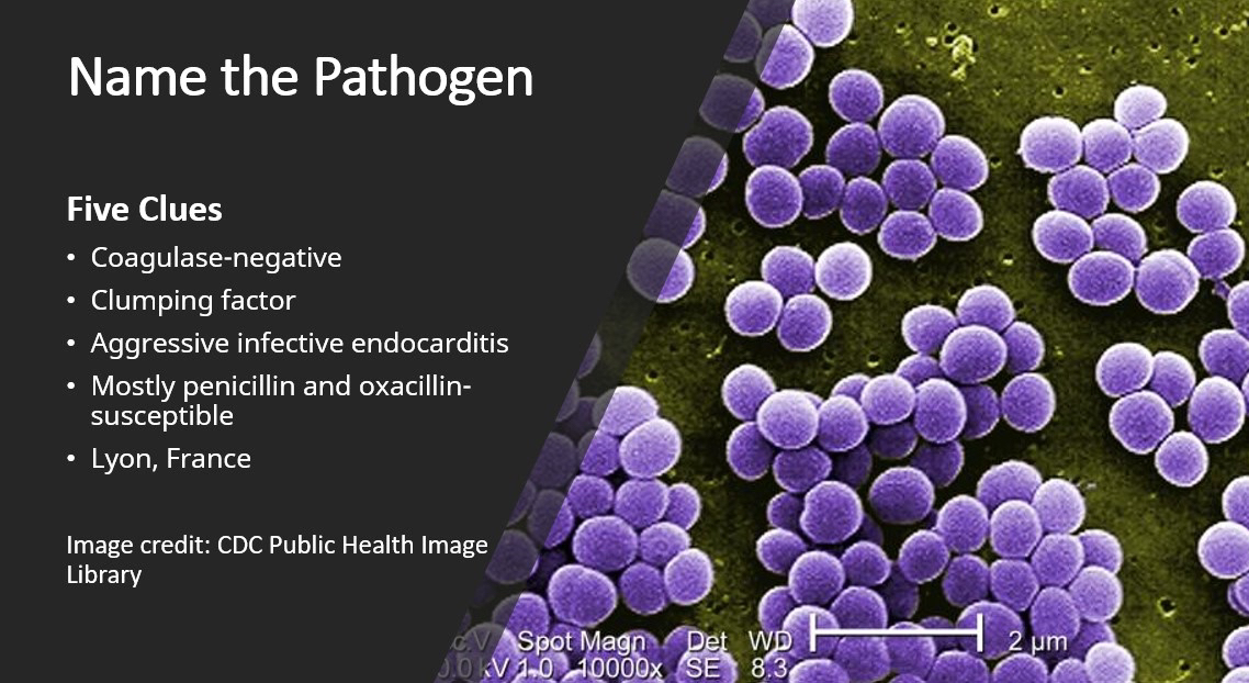Mayo Clinic Infectious Diseases tweet media