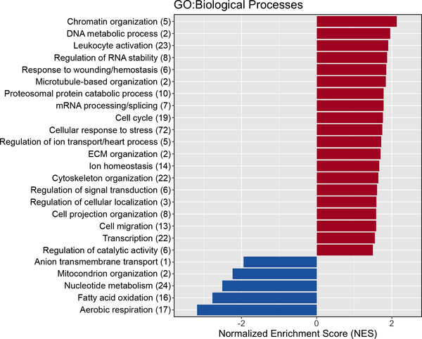 Nick Krontiris tweet media