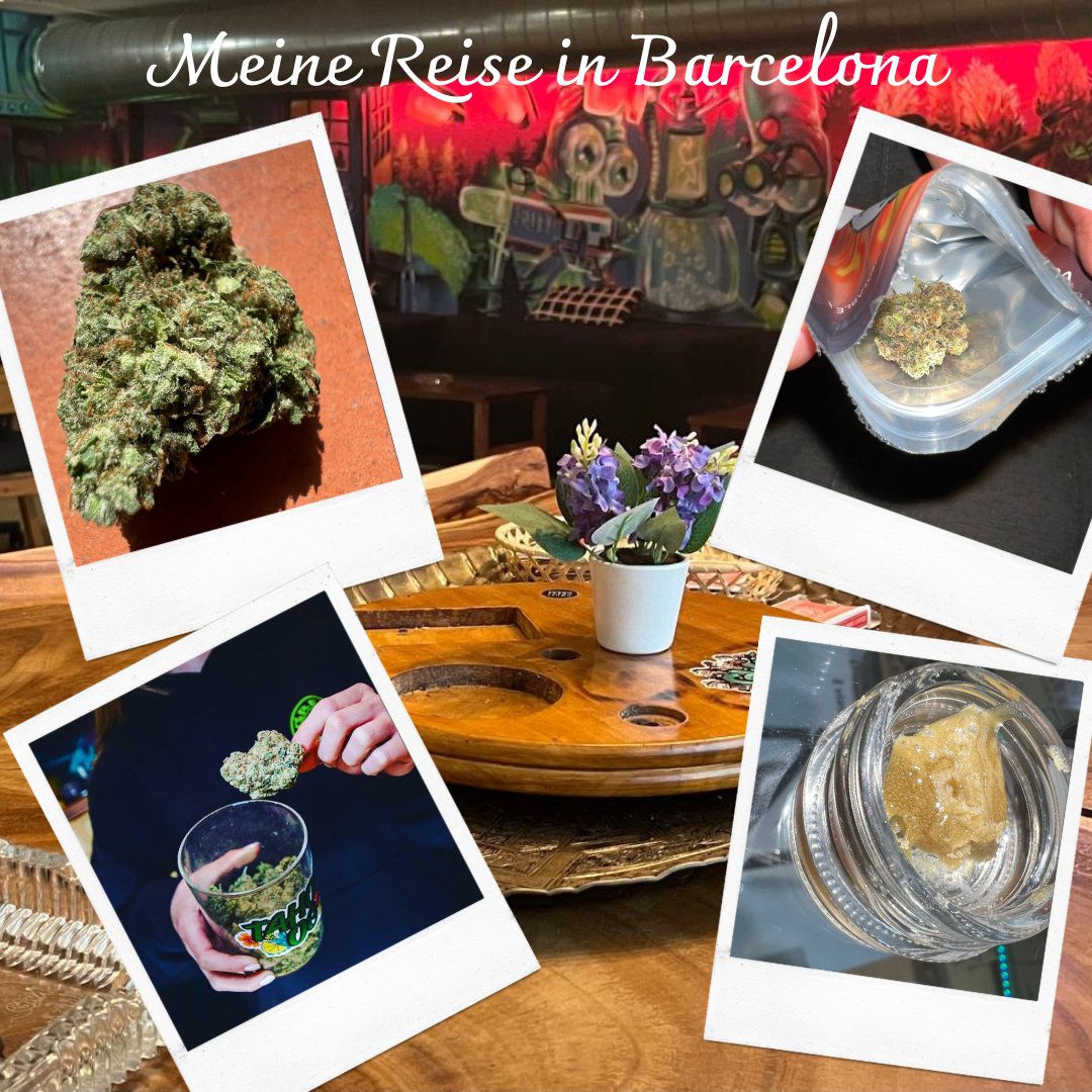 CannabisUrlaub's tweet photo. Meine Reise in Barcelona! 
Du möchtest schon immer eine 420 friendly Tour durch die besten Cannabis Clubs in Barcelona machen? Infos auf ▷https://t.co/jJ3d9OdClU
#cannabisurlaub #CannabisCommunity #CannabisNews #Barcelona #weedtour #CSC #Weedmob #weedspain #spanien #THCH https://t.co/UbaTaxvOlI