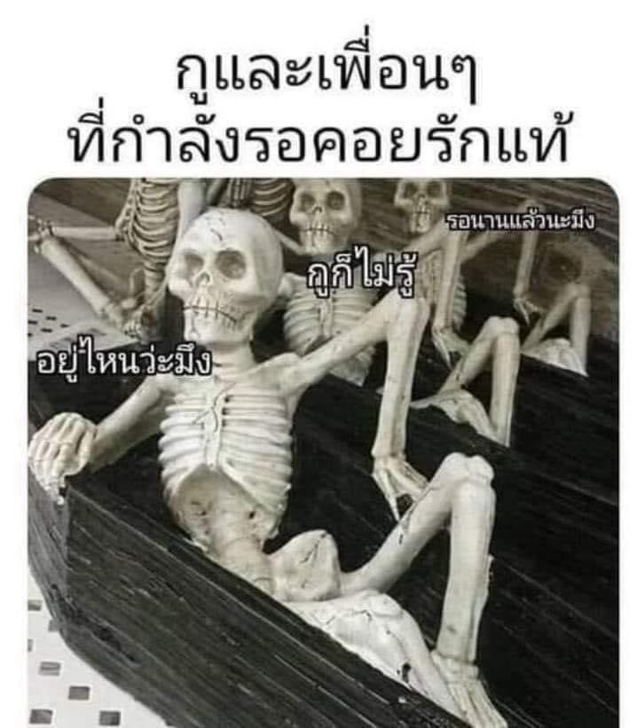 กูและเพื่อนๆ55555555555