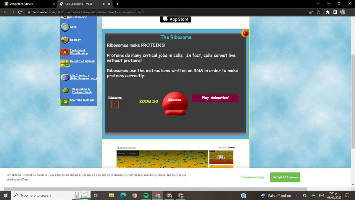 tyuneade's tweet image. wow ang slay naman ng gagawin