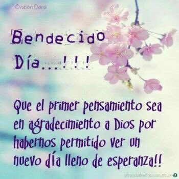 MirsaEspinosa's tweet photo. https://t.co/R4HB8kA3u0