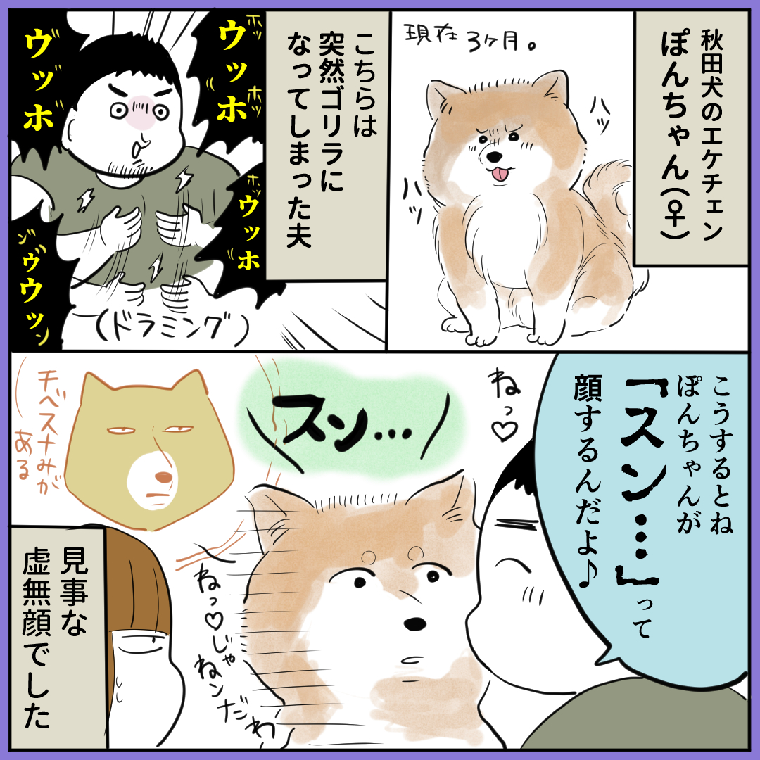 ～秋田犬にっきまとめ～ 甘噛みは減りつつありますが花京院よろしくレロレロしてくるようになりました。 
