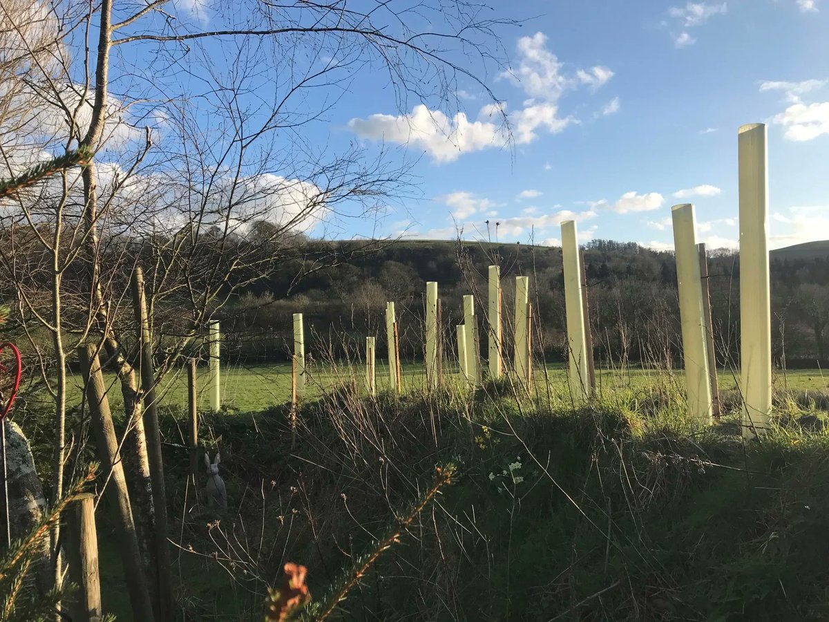 Devon Wildlife Trust tweet media
