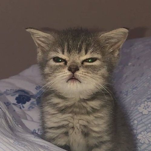 i see no difference 🥹