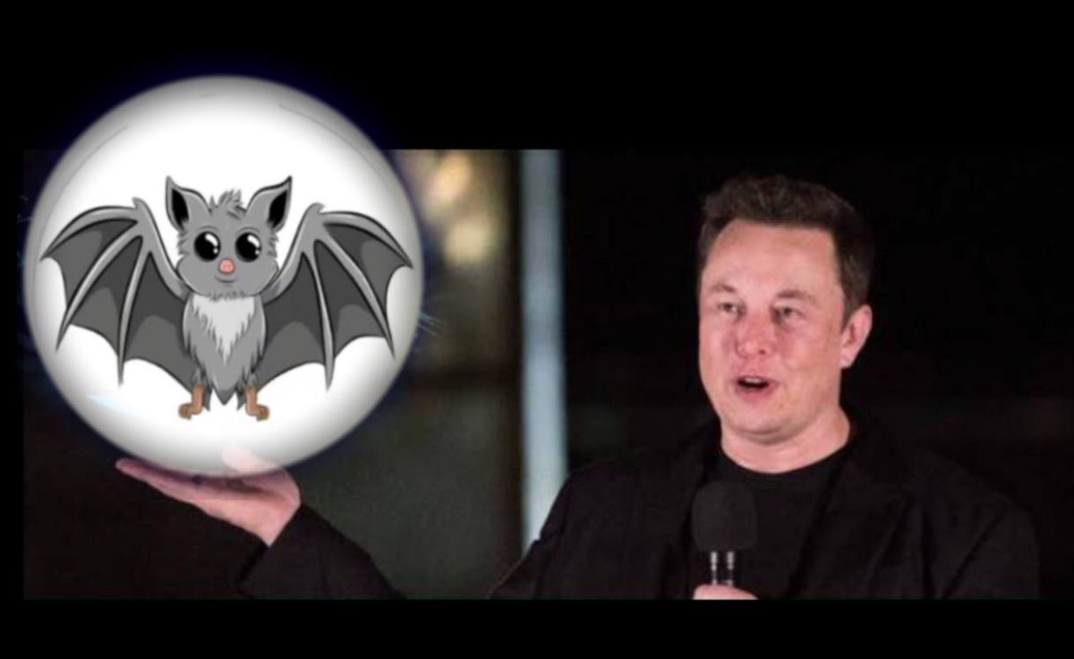 🦇💩 <a href="/elonmusk/">Elon Musk</a> 
#batcoin #bats #ElonMusk #Elon #memecoin #bnb #bsc