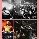 Photo by FREEDA (@FreedaBand)