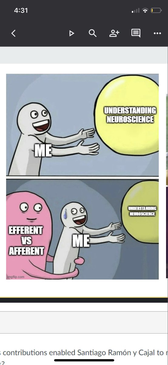 amydief's tweet photo. I asked the students in my Integrative Neuroscience course to come up with “neurdy” captions for popular memes. This was my favorite one.#neuroscience #neurd #udel https://t.co/lwSsDH3i6w