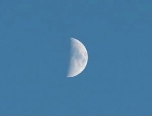 kasokukitearoom's tweet photo. .
　        ひさびさに夕焼け

　　　 上弦少し前の月も

.

     日没 2022年9月3日 18:05
.

#9月 #月 #雲 #夕焼け #夕空 #天気の図鑑 #雲の教室 #雲を愛する技術 #イマソラ #キリトリセカイ #写真 #空 #土曜日 #a2022 #a202209 #a0903 #a20220903 https://t.co/fFCUVSDeTv