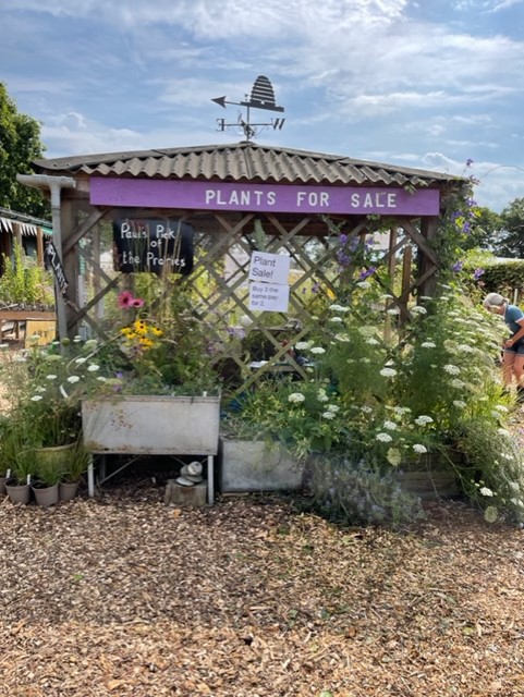kasmaty's tweet photo. Gardens, galleries and walking around: #SixOnSaturday from Sussex Prairie Garden https://t.co/XUDjsFpuuh @cavershamjj from the fabulous @SUSSEXPRAIRIES 8 acres of wonderful, inspirational planting #refreshments #Indianbazaar. Great place to visit https://t.co/ClSPYctxnP