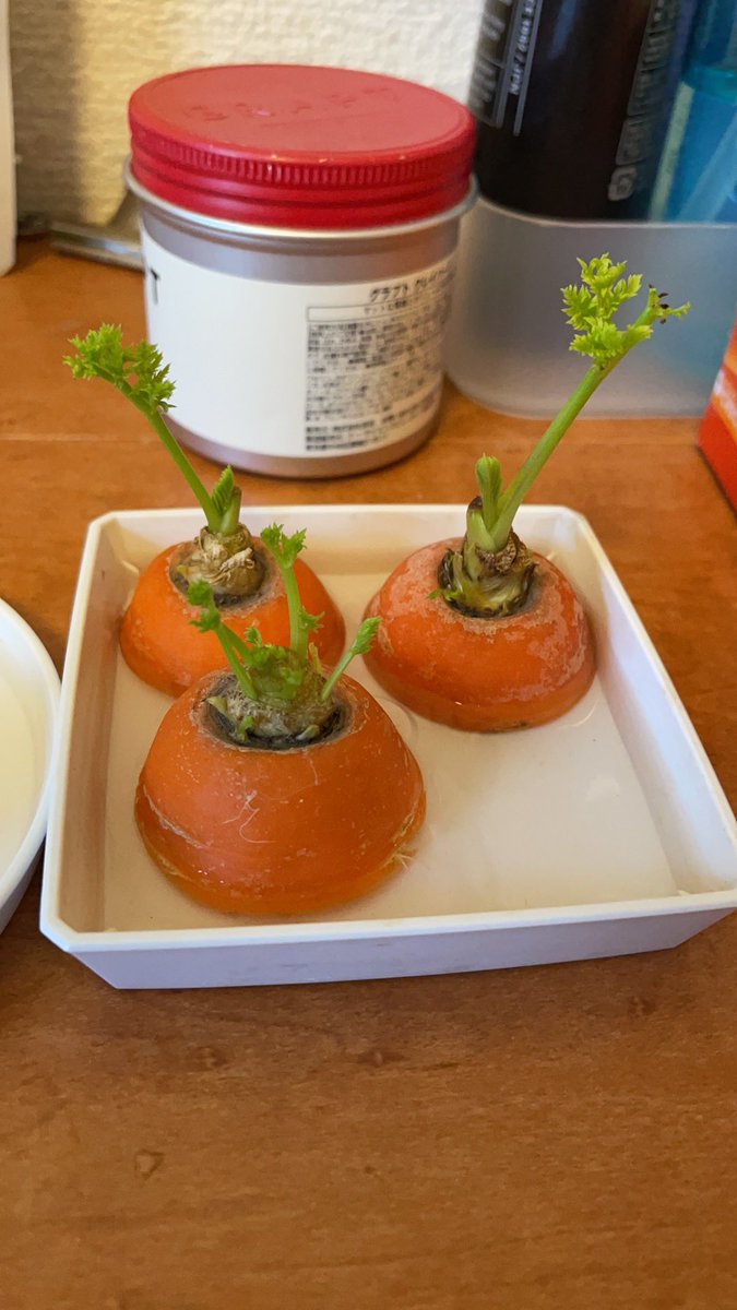 カタツ tweet media