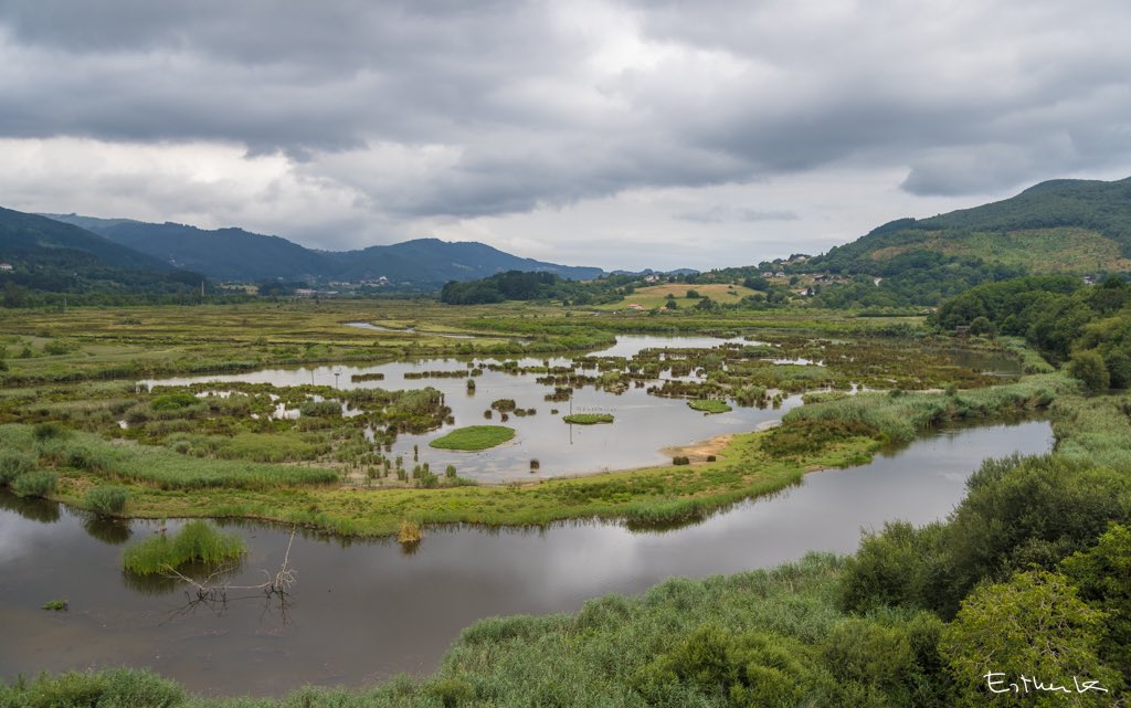 estherk__'s tweet photo. Una visita de lo más interesante descubriendo el mundo de las aves migratorias en el centro de investigación Urdaibai Bird Center #urdaibai #urdaibaibirdcenter #reservadelabiosfera #GautegizArteaga #BizitEuskadi https://t.co/oOsW8omg6m