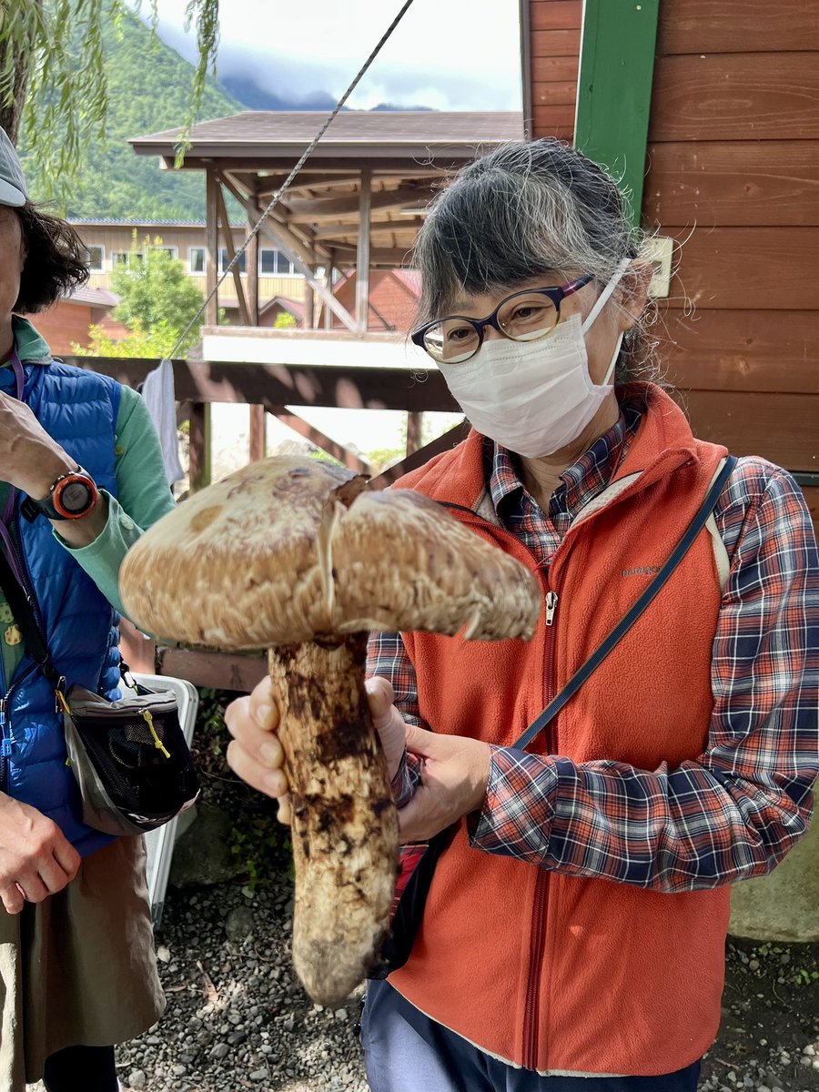 ここまで巨大な松茸は初めて。ちょっと傷みかけていたのが残念。みんな