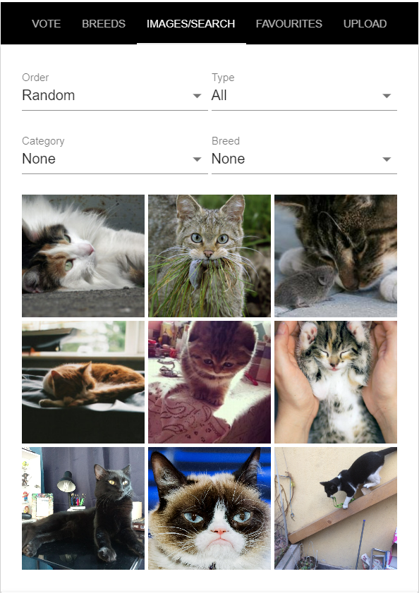 APIs in one line: 👇
CRUD: Create Read Update Delete

P.S- Wasn't expecting to stumble across a CatApi🤯🐱💝

#PostmanStudent  #MesoHacks