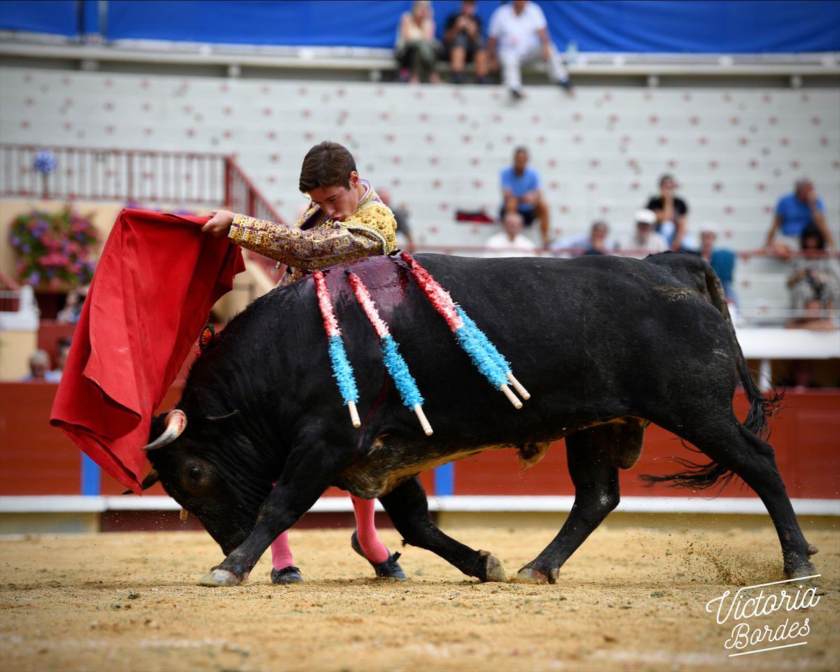 Christian Parejo tweet media
