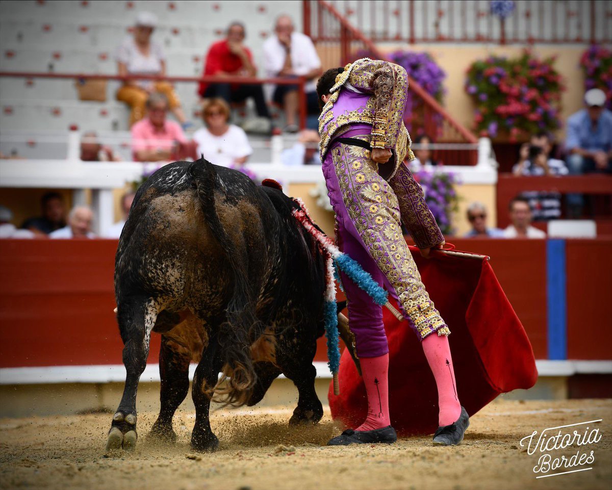 Christian Parejo tweet media