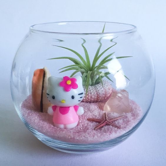 hello kitty terrarium 💫