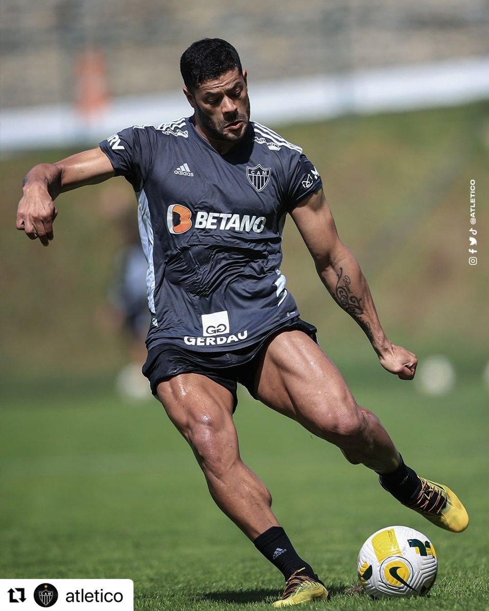 Hulkparaibaoficial tweet media