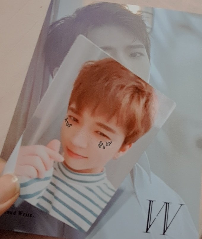 NwhTree1's tweet photo. I took these photos four years ago and found them now while going through my old files๐ฅบI really love all the photos, photocard(it's so cute),bookmark &...in this album๐๐
Thank you woohyunie @wowwh ๐ฅน๐ซถ๐ป
#Second_write #๋จ์ฐํ https://t.co/CvcInL9eSu