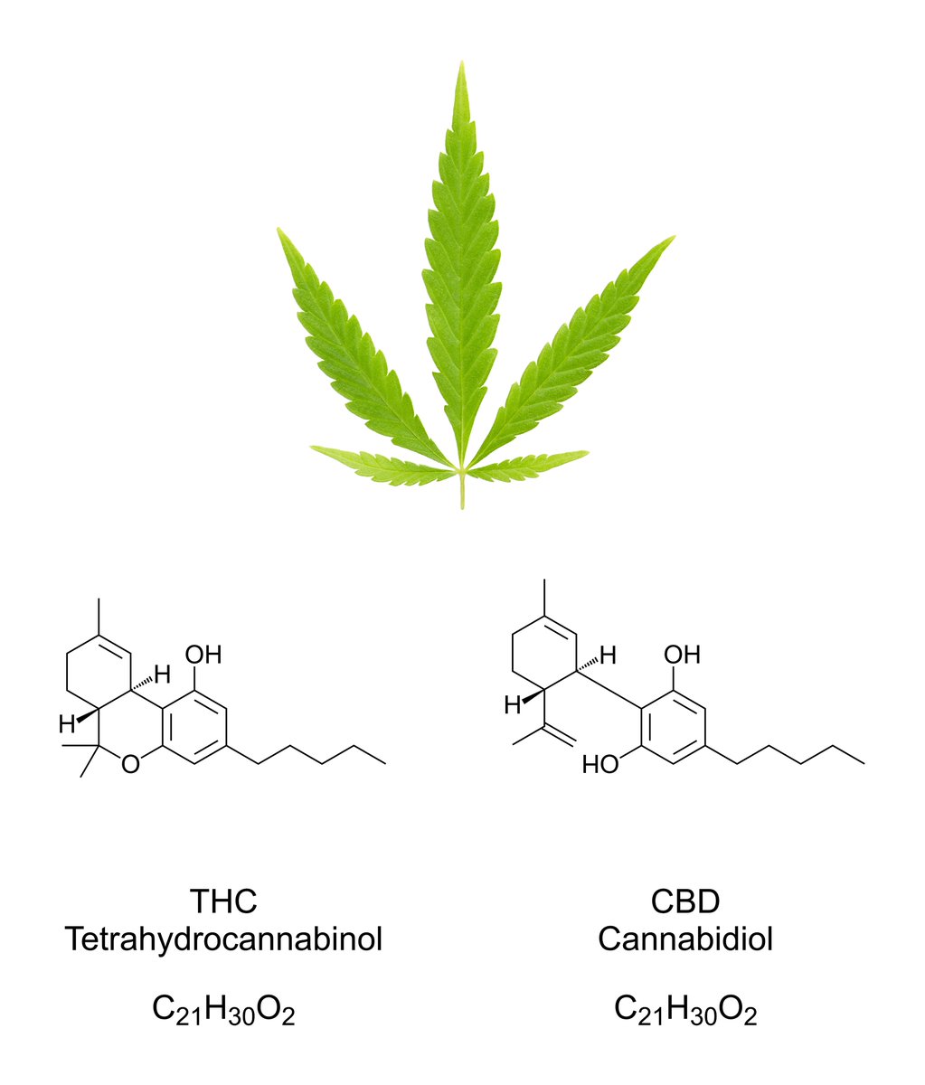 CbddNL's tweet photo. Wat is CBD https://t.co/J8JHZ4d4c2 https://t.co/l0uGAEH4gS