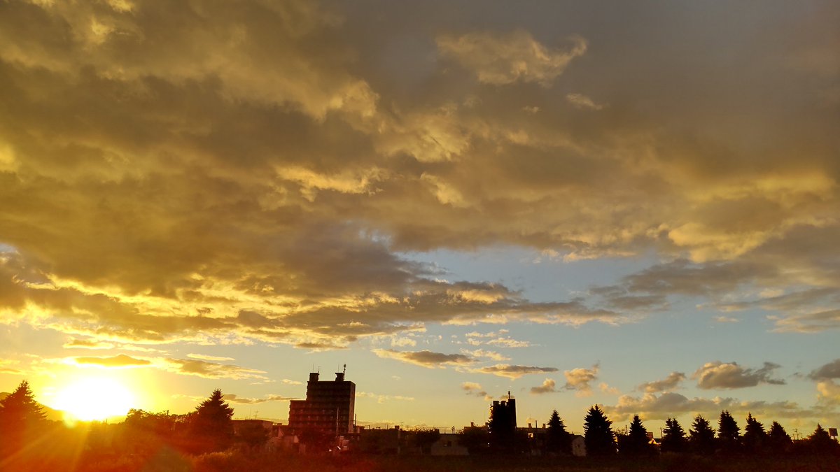 まめSPBV🦫 tweet media