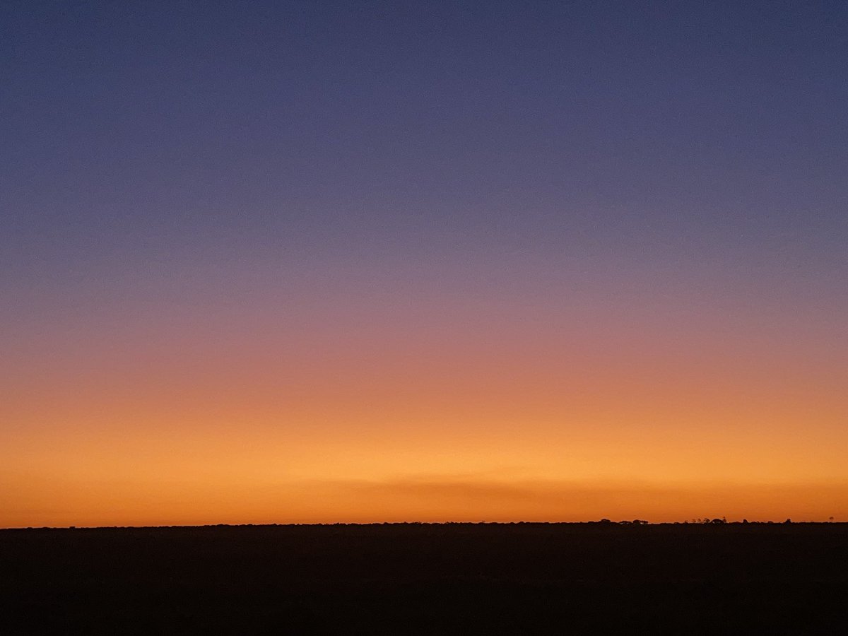 Sunset on the plains.

#wandering #nswriverineplain #sunset