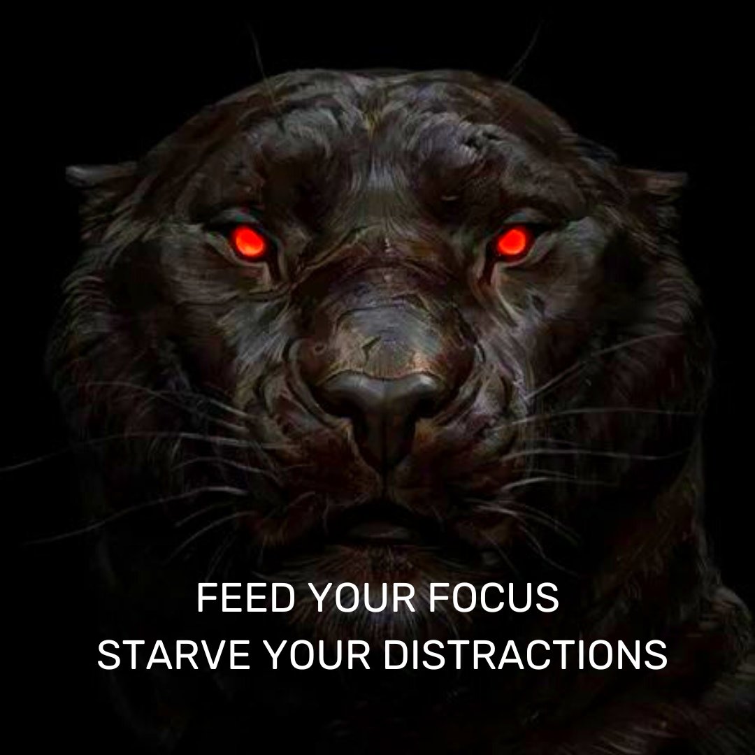Unwavering focus separates winners from losers.