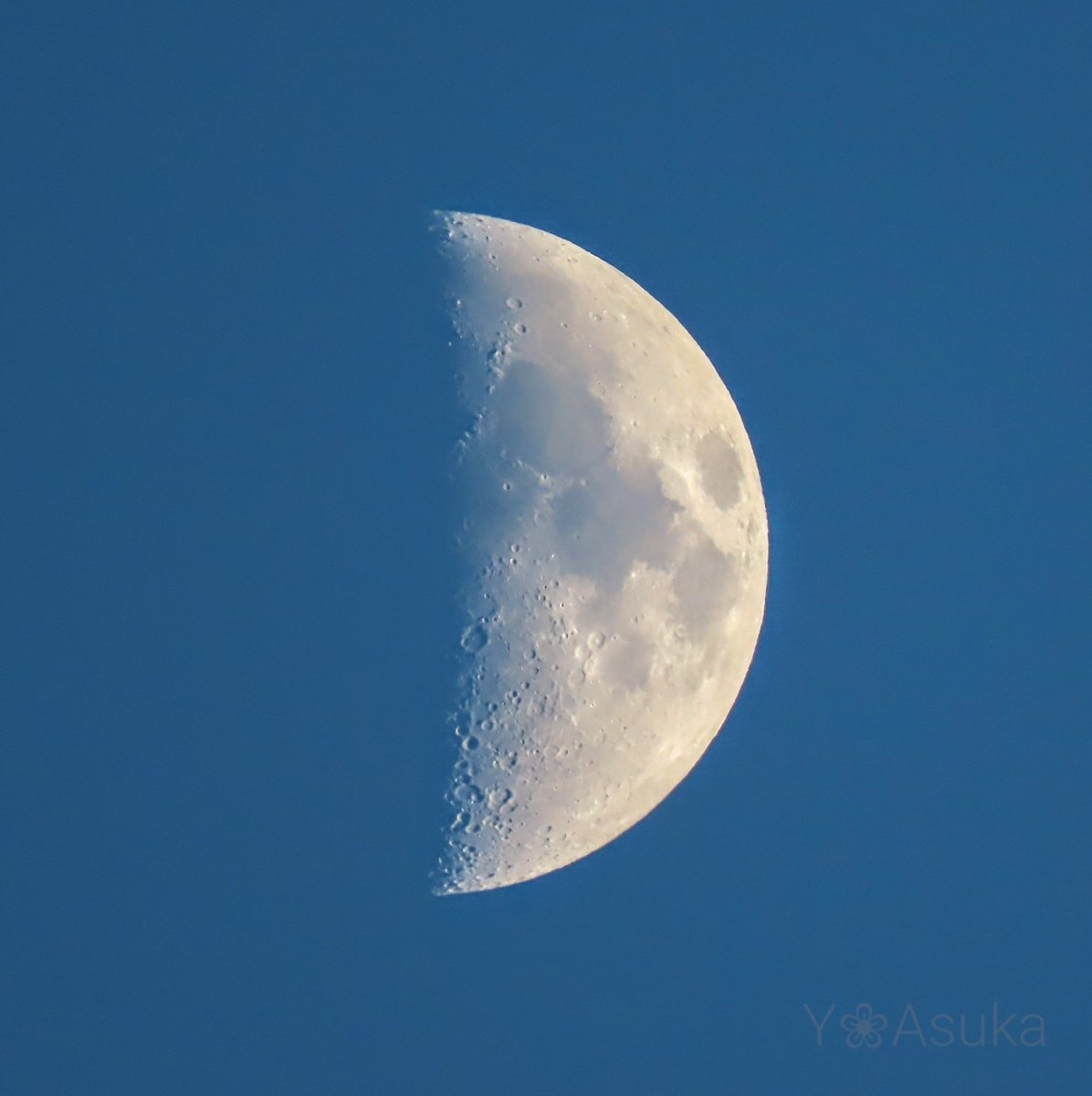 yumeasutw's tweet photo. 久しぶりのお月様🌓

お疲れ様です🏁
黒雲が北へ抜け
南から #青空 が広がり始めた
日の入り間近。
南の空に🌓 #弓張月 (月齢7.0)が姿を現しました💙
#月面X もハッキリと確認出来ます👀
南の彼方に茜色に染まる #入道雲 ❤️

#空の名前
#天気の図鑑 #雲友の会
#夕空
#月 #moon
#a2022 #a0903 #a202209 https://t.co/vKhoNEQXfy